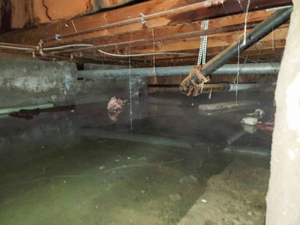 Best Flood restoration services  in Craig Beach, OH