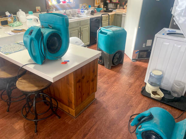 Best Basement water damage restoration  in Craig Beach, OH