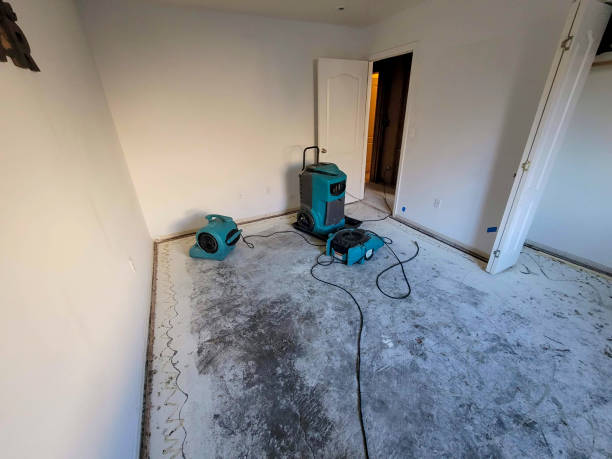 Best Residential water damage restoration  in Craig Beach, OH
