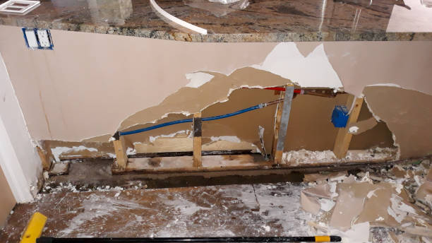 Best Mold removal after water damage  in Craig Beach, OH