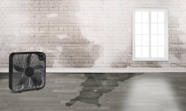 Best 24/7 water damage repair  in Craig Beach, OH