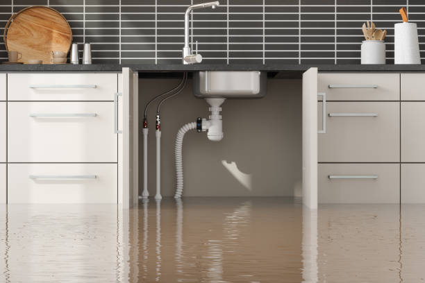 Best Flood restoration services  in Craig Beach, OH